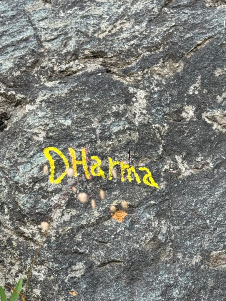 Dharma-768x1024 Falesia della Cascata